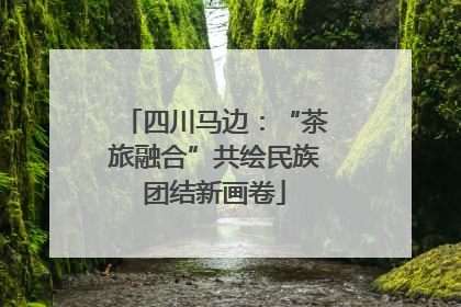 四川马边：“茶旅融合”共绘民族团结新画卷