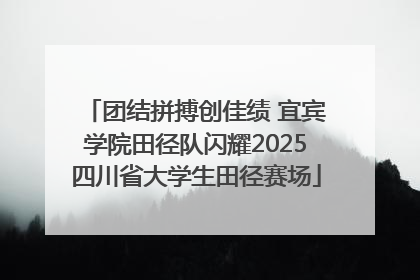 团结拼搏创佳绩 宜宾学院田径队闪耀2025四川省大学生田径赛场