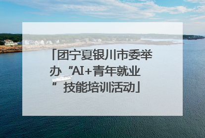 团宁夏银川市委举办“AI+青年就业”技能培训活动