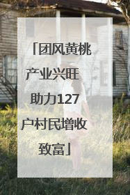 团风黄桃产业兴旺 助力127户村民增收致富