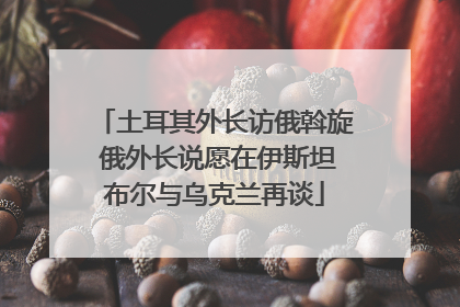土耳其外长访俄斡旋 俄外长说愿在伊斯坦布尔与乌克兰再谈