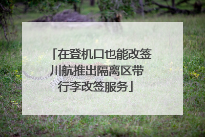 在登机口也能改签 川航推出隔离区带行李改签服务