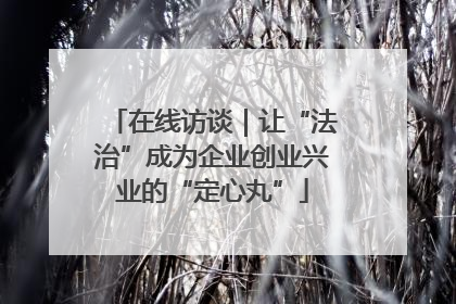 在线访谈｜让“法治”成为企业创业兴业的“定心丸”
