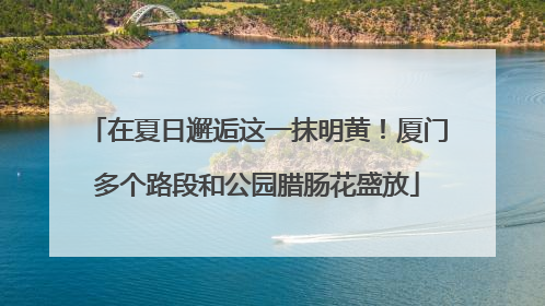 在夏日邂逅这一抹明黄！厦门多个路段和公园腊肠花盛放