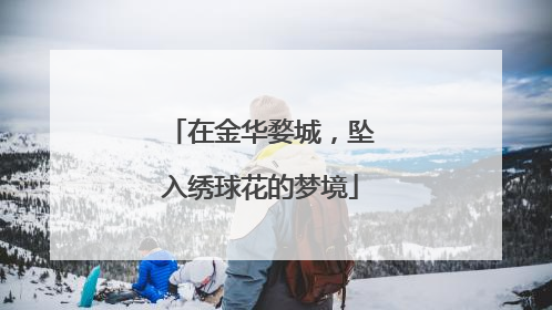 在金华婺城，坠入绣球花的梦境