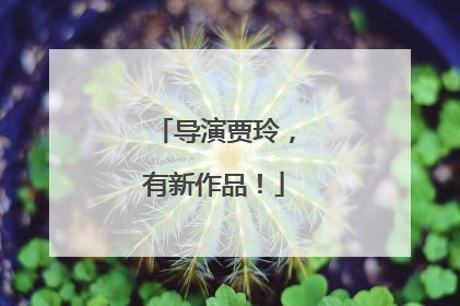 导演贾玲，有新作品！