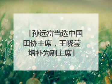 孙远富当选中国田协主席，王晓莹增补为副主席