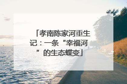 孝南陈家河重生记：一条“幸福河”的生态蝶变