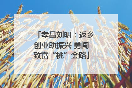 孝昌刘明：返乡创业助振兴 勇闯致富“桃”金路