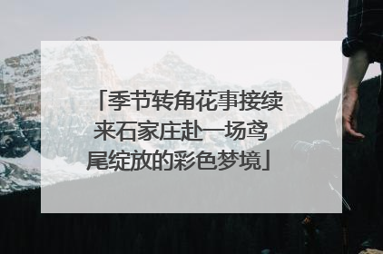 季节转角花事接续 来石家庄赴一场鸢尾绽放的彩色梦境