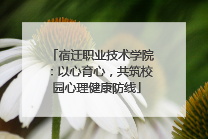 宿迁职业技术学院：以心育心，共筑校园心理健康防线