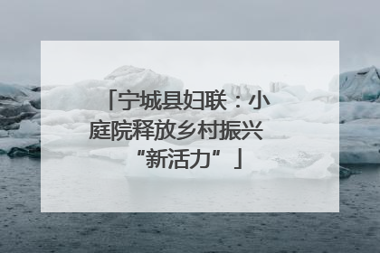 宁城县妇联：小庭院释放乡村振兴“新活力”