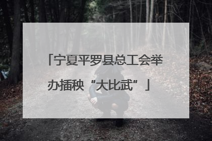 宁夏平罗县总工会举办插秧“大比武”