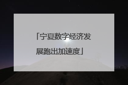 宁夏数字经济发展跑出加速度