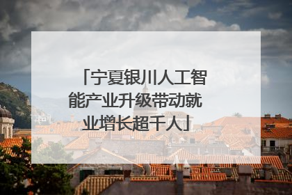 宁夏银川人工智能产业升级带动就业增长超千人