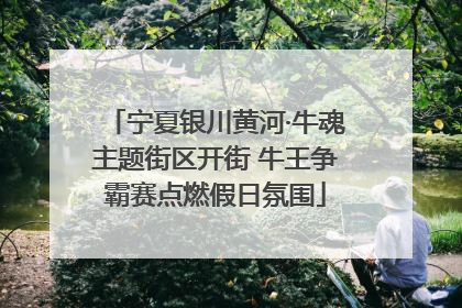 宁夏银川黄河·牛魂主题街区开街 牛王争霸赛点燃假日氛围