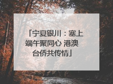 宁夏银川：塞上端午聚同心 港澳台侨共传情