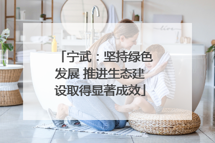 宁武：坚持绿色发展 推进生态建设取得显著成效