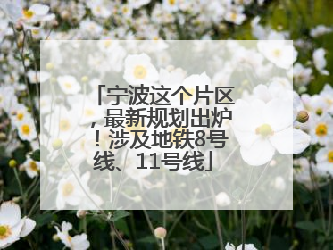 宁波这个片区，最新规划出炉！涉及地铁8号线、11号线