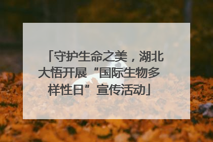 守护生命之美，湖北大悟开展“国际生物多样性日”宣传活动