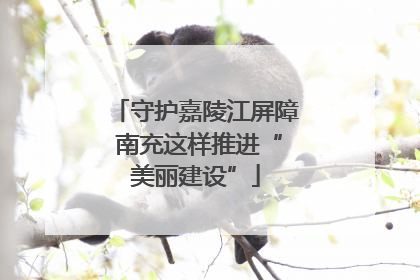 守护嘉陵江屏障 南充这样推进“美丽建设”