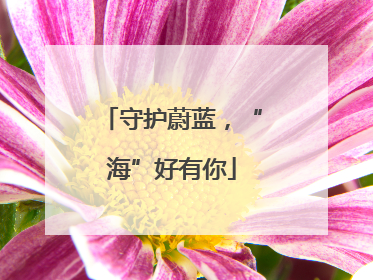 守护蔚蓝，“海”好有你