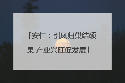 安仁：引凤归巢结硕果 产业兴旺促发展