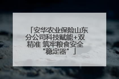 安华农业保险山东分公司科技赋能+双精准 筑牢粮食安全“稳定器”