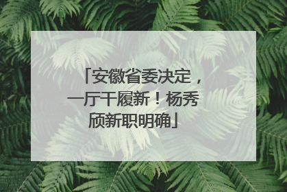 安徽省委决定，一厅干履新！杨秀颀新职明确
