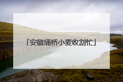 安徽埇桥小麦收割忙