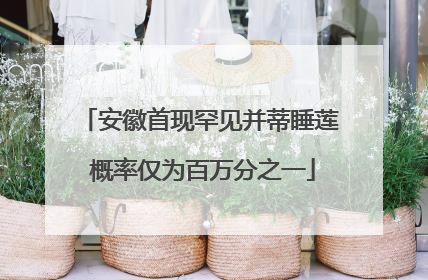 安徽首现罕见并蒂睡莲 概率仅为百万分之一