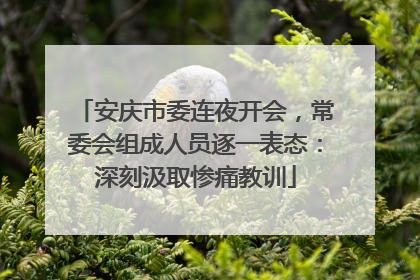 安庆市委连夜开会，常委会组成人员逐一表态：深刻汲取惨痛教训