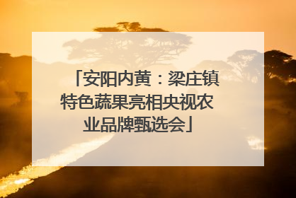 安阳内黄：梁庄镇特色蔬果亮相央视农业品牌甄选会