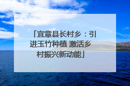 宜章县长村乡：引进玉竹种植 激活乡村振兴新动能