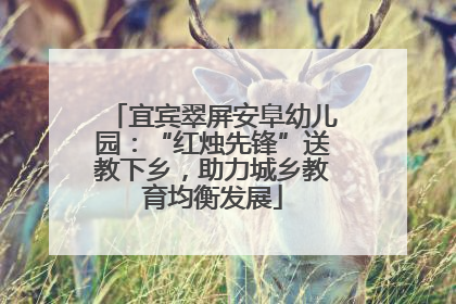 宜宾翠屏安阜幼儿园：“红烛先锋”送教下乡，助力城乡教育均衡发展