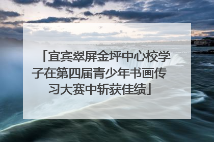 宜宾翠屏金坪中心校学子在第四届青少年书画传习大赛中斩获佳绩