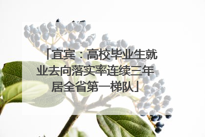 宜宾：高校毕业生就业去向落实率连续三年居全省第一梯队