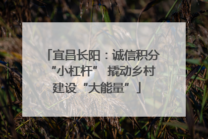 宜昌长阳：诚信积分“小杠杆” 撬动乡村建设“大能量”
