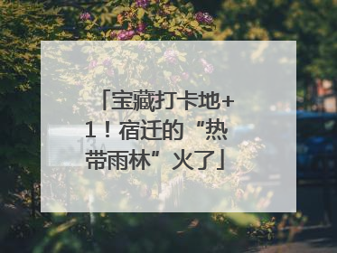 宝藏打卡地+1！宿迁的“热带雨林”火了