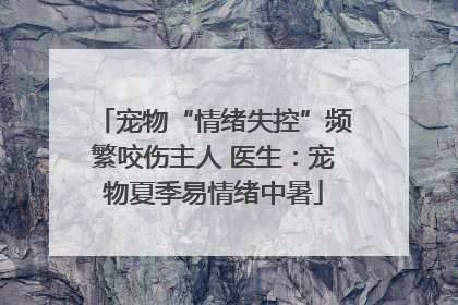 宠物“情绪失控”频繁咬伤主人 医生：宠物夏季易情绪中暑