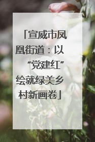 宣威市凤凰街道：以“党建红”绘就绿美乡村新画卷