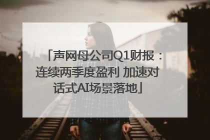 声网母公司Q1财报：连续两季度盈利 加速对话式AI场景落地