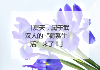 夏天，属于武汉人的“荷系生活”来了！