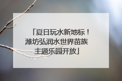 夏日玩水新地标！潍坊弘润水世界苗族主题乐园开放