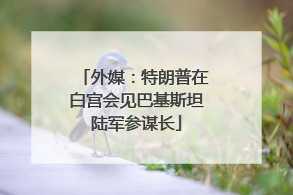 外媒：特朗普在白宫会见巴基斯坦陆军参谋长