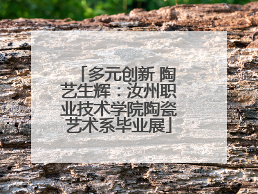 多元创新 陶艺生辉：汝州职业技术学院陶瓷艺术系毕业展