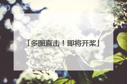 多图直击！即将开桨