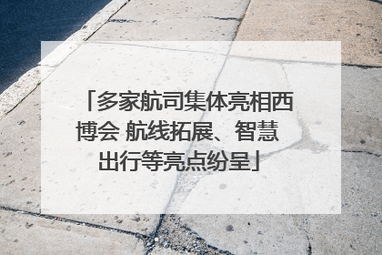 多家航司集体亮相西博会 航线拓展、智慧出行等亮点纷呈