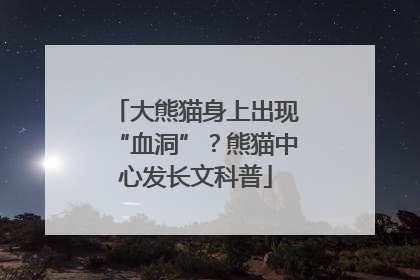 大熊猫身上出现“血洞”？熊猫中心发长文科普