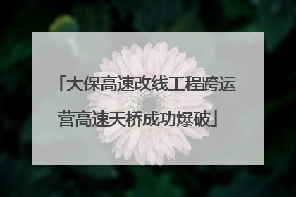 大保高速改线工程跨运营高速天桥成功爆破